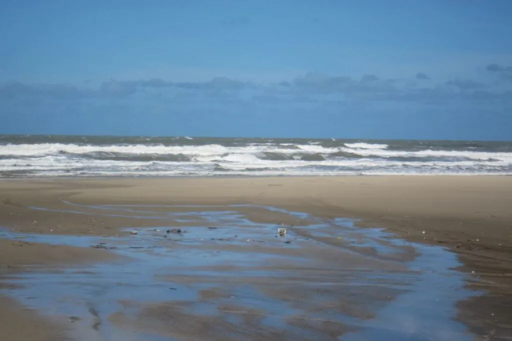 Albardão não é de nenhuma pessoa. É, finalmente, deles