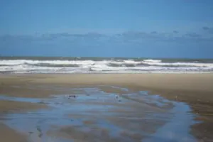 Albardão não é de nenhuma pessoa. É, finalmente, deles