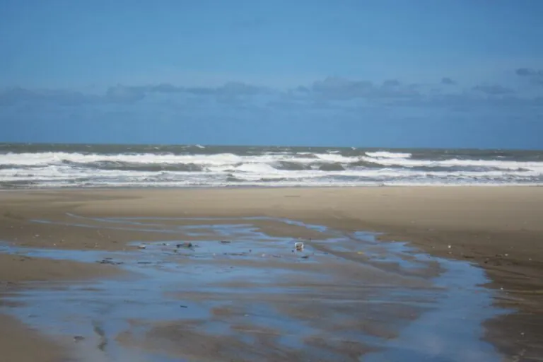 Albardão não é de nenhuma pessoa. É, finalmente, deles