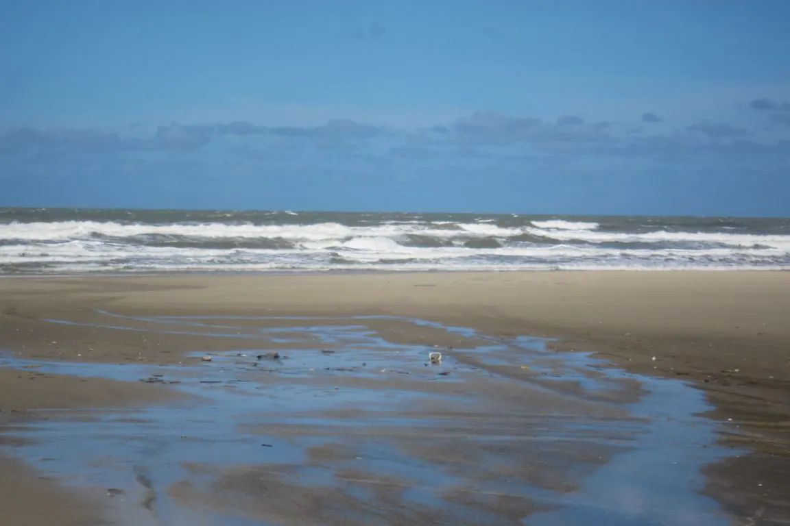 Albardão não é de nenhuma pessoa. É, finalmente, deles