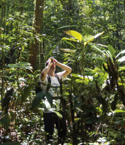 Amazônia perde ávores e Andes ganha