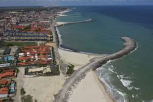 Avanço do desmatamento em restingas da Mata Atlântica preocupa ambientalistas