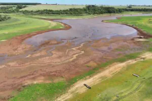 Desmatamento da Amazônia custa mais de US$ 1 bilhão por ano na conta de luz dos brasileiros