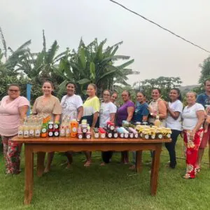 Grupo de 40 mulheres transforma pasto em floresta no Pará