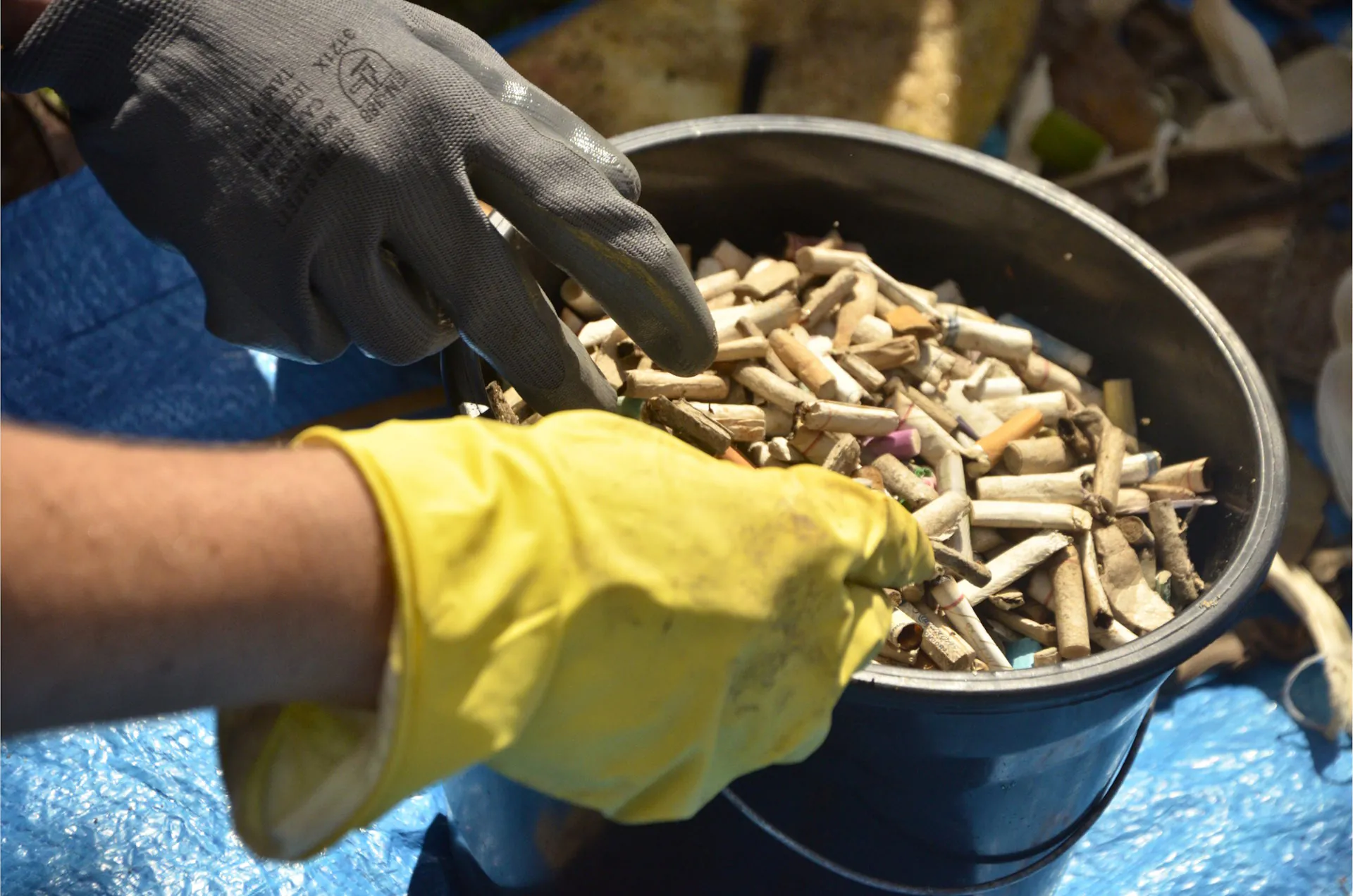 Mobilização coletiva na Baía de Guanabara retira mais de 400 kg de resíduos