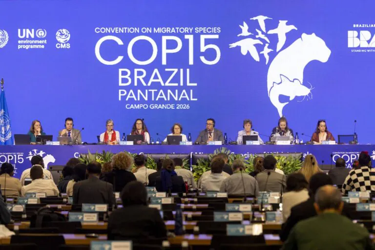Na COP15, países lançam iniciativa global contra captura ilegal de espécies migratórias