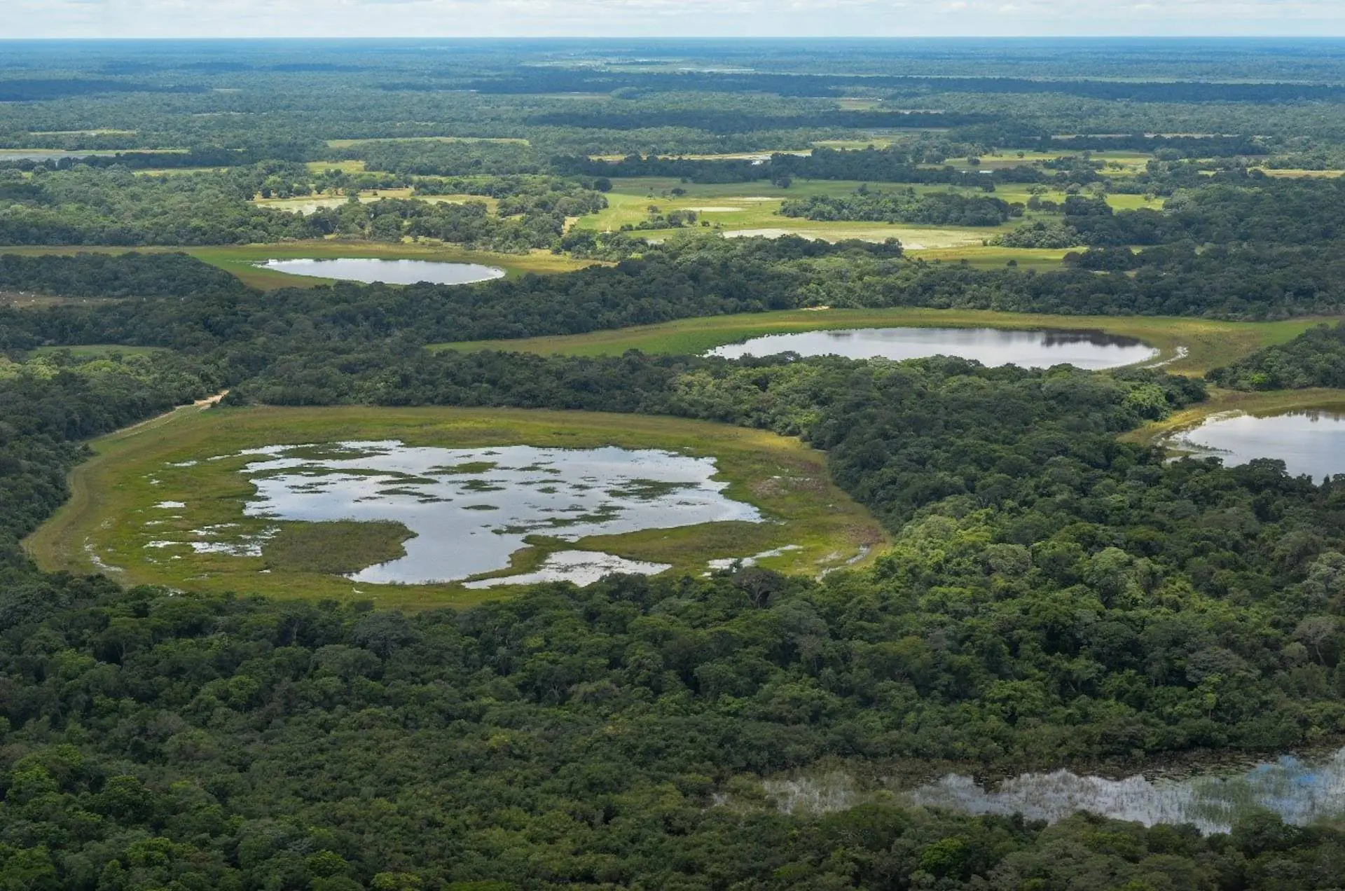 Pantanal registra redução de 65% no desmatamento em 2025, indica INPE