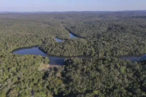 Parque Estadual do Morro Grande: uma caminhada que recomeça
