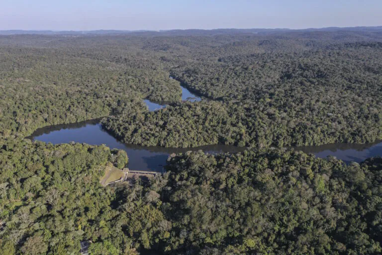 Parque Estadual do Morro Grande: uma caminhada que recomeça