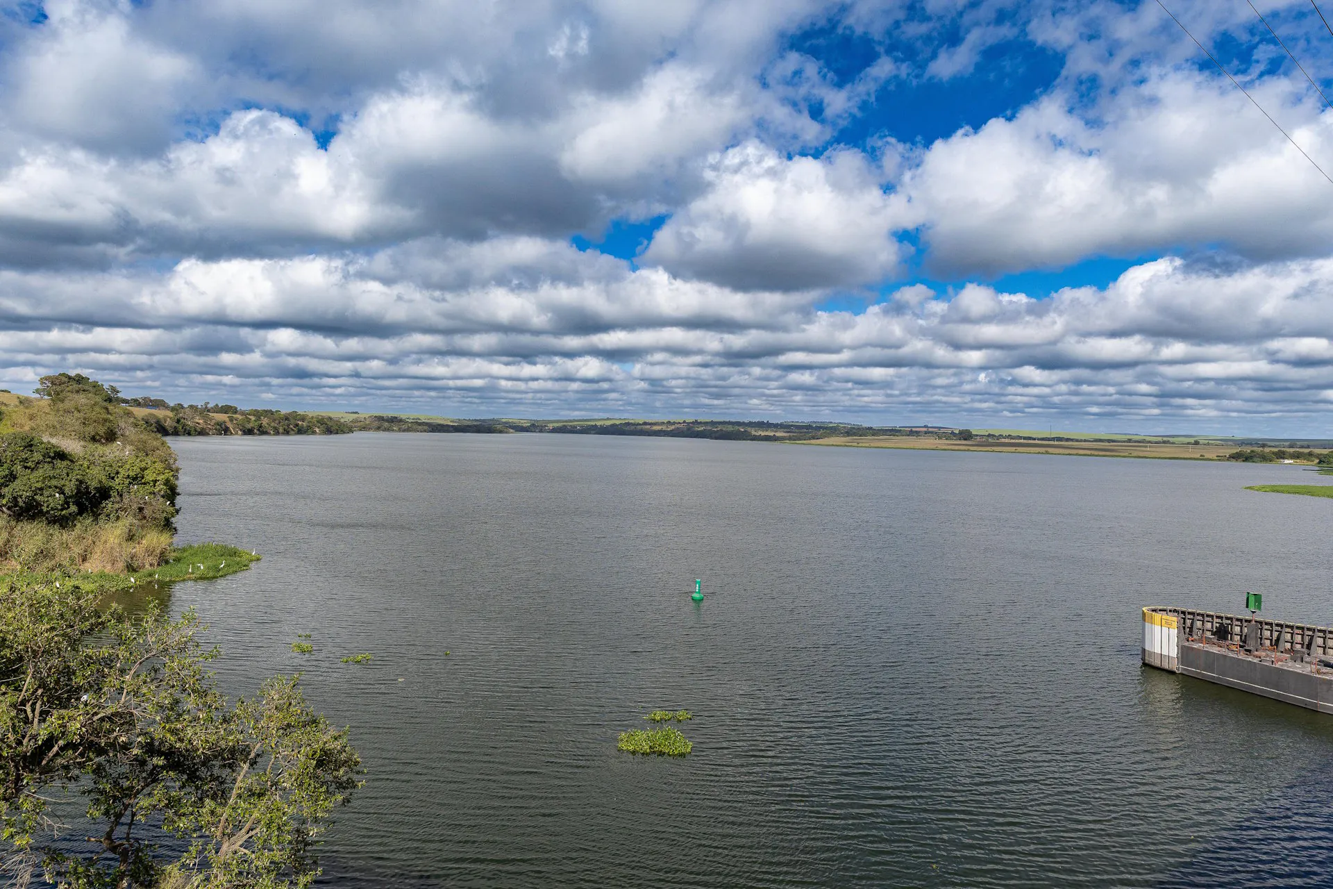 Qualidade da água na Mata Atlântica estagna e pontos com nível “bom” despencam
