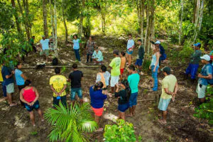 Software criado no AM apoia ecossistema de inovação em processos de propriedade intelectual