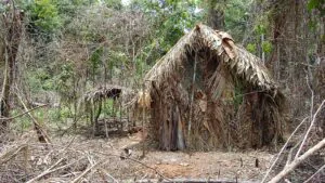 Território do ‘Índio do Buraco’ vai virar área de proteção integral