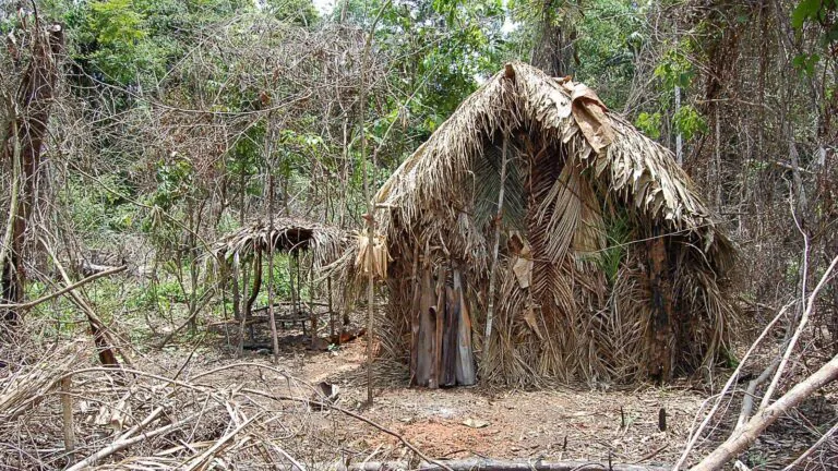 Território do ‘Índio do Buraco’ vai virar área de proteção integral