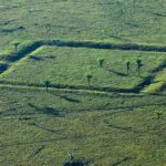 acordos são firmados pelo MPF para compensar danos