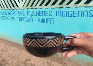 arte e resistência de mulheres indígenas