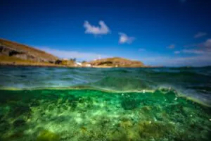 A conservação mantém de pé a economia que o mar produz