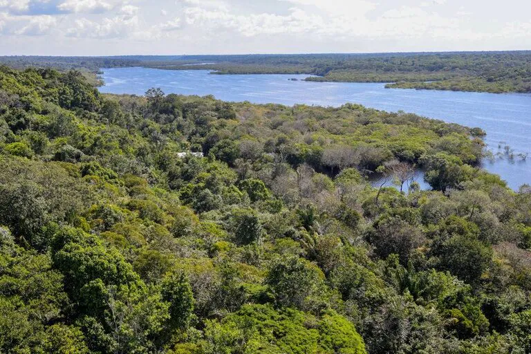 Amazônia tem capacidade de recuperação limitada