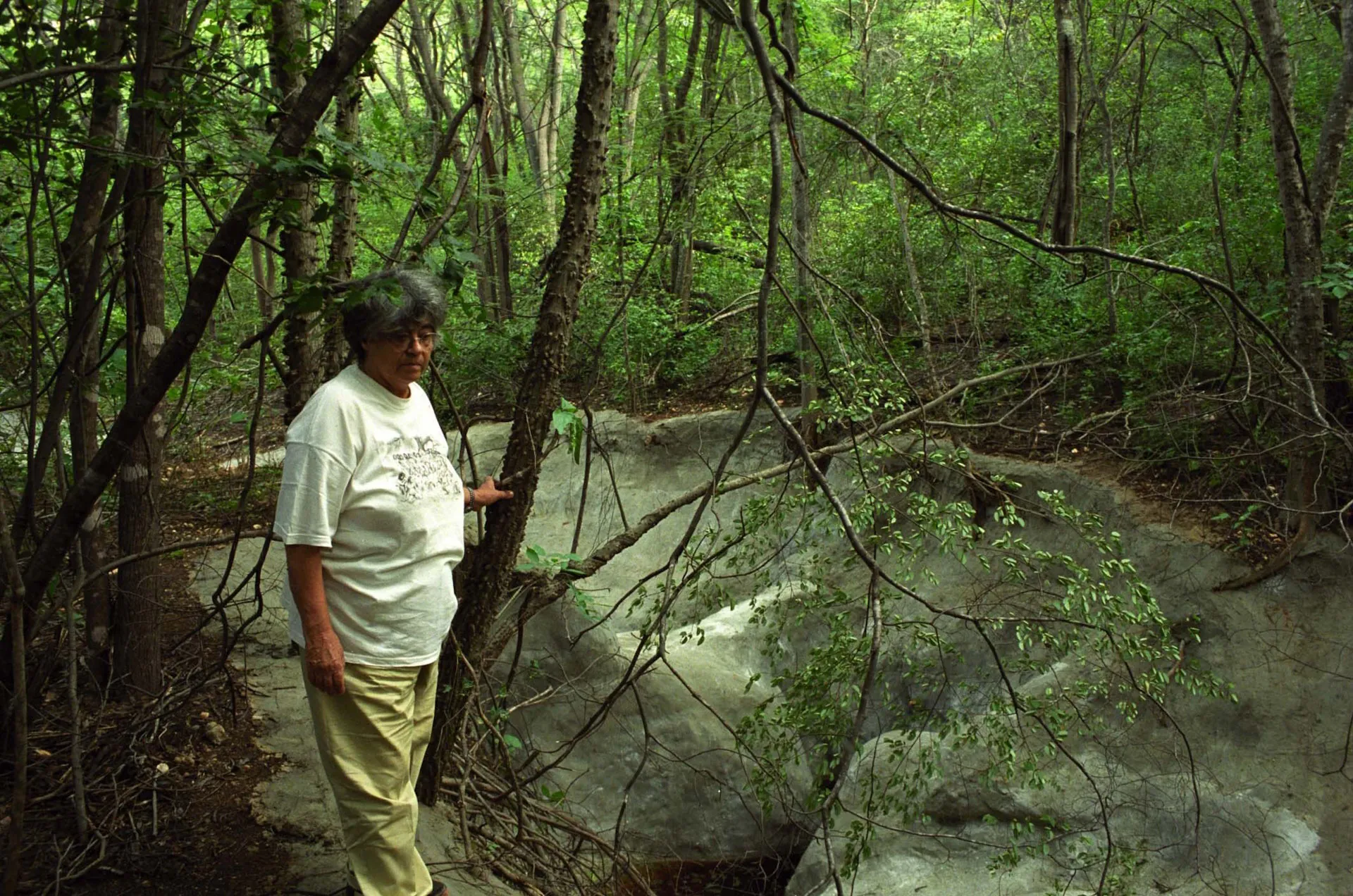 Cientistas descobrem planta na Caatinga e homenageiam Niède Guidon