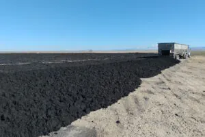 Está na hora de transformar a merda em adubo, literalmente
