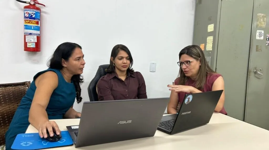 Estudo da UFMT aponta melhorias na produção de carne bovina