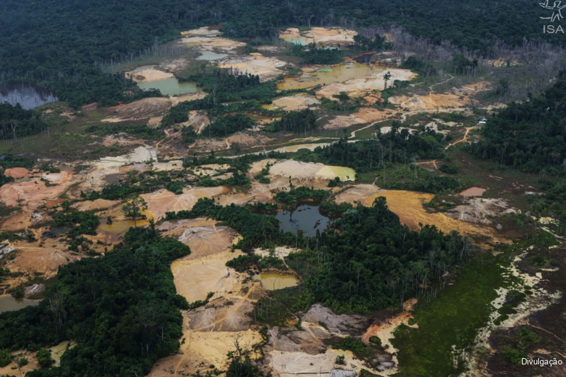 Fiocruz promove conferência para incluir ecocídio e racismo ambiental na Agenda 2030