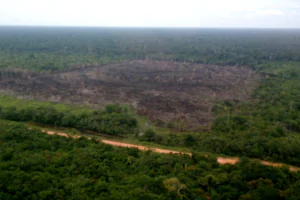 Governo acelera obras na BR-319 antes de resolver entraves ambientais