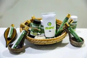 Ifac e Ufac depositam pedido de patente de gel-creme fitoterápico para regeneração de pele em animais domésticos