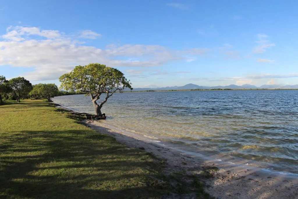 Lago Caracaranã, em Roraima: guia completo com dicas