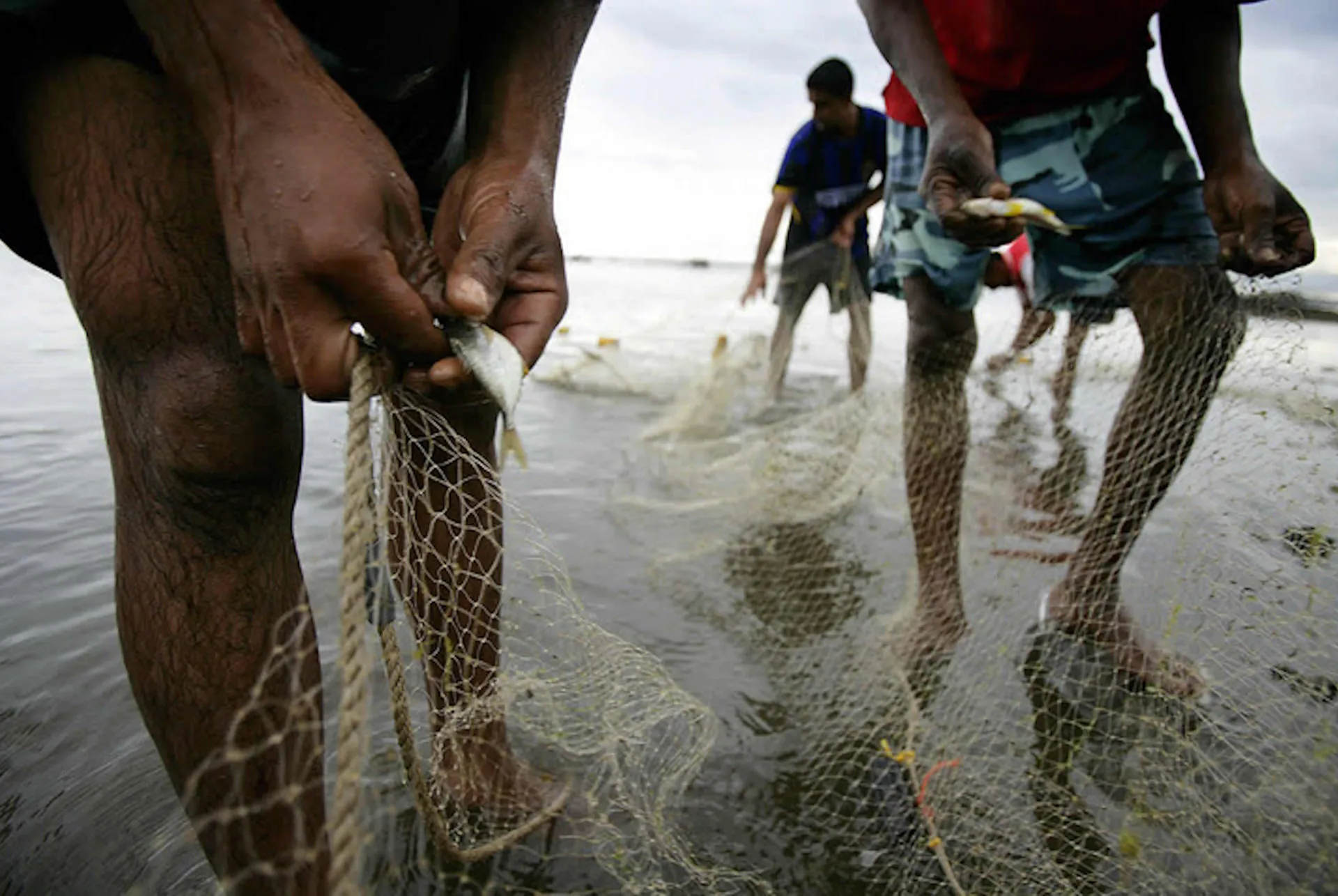 Lei que proíbe pesca em Mato Grosso não tem base científica, diz WWF-Brasil