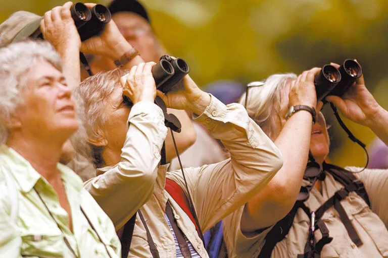 Maior evento de observação de aves do mundo contará com etapa no norte do Paraná