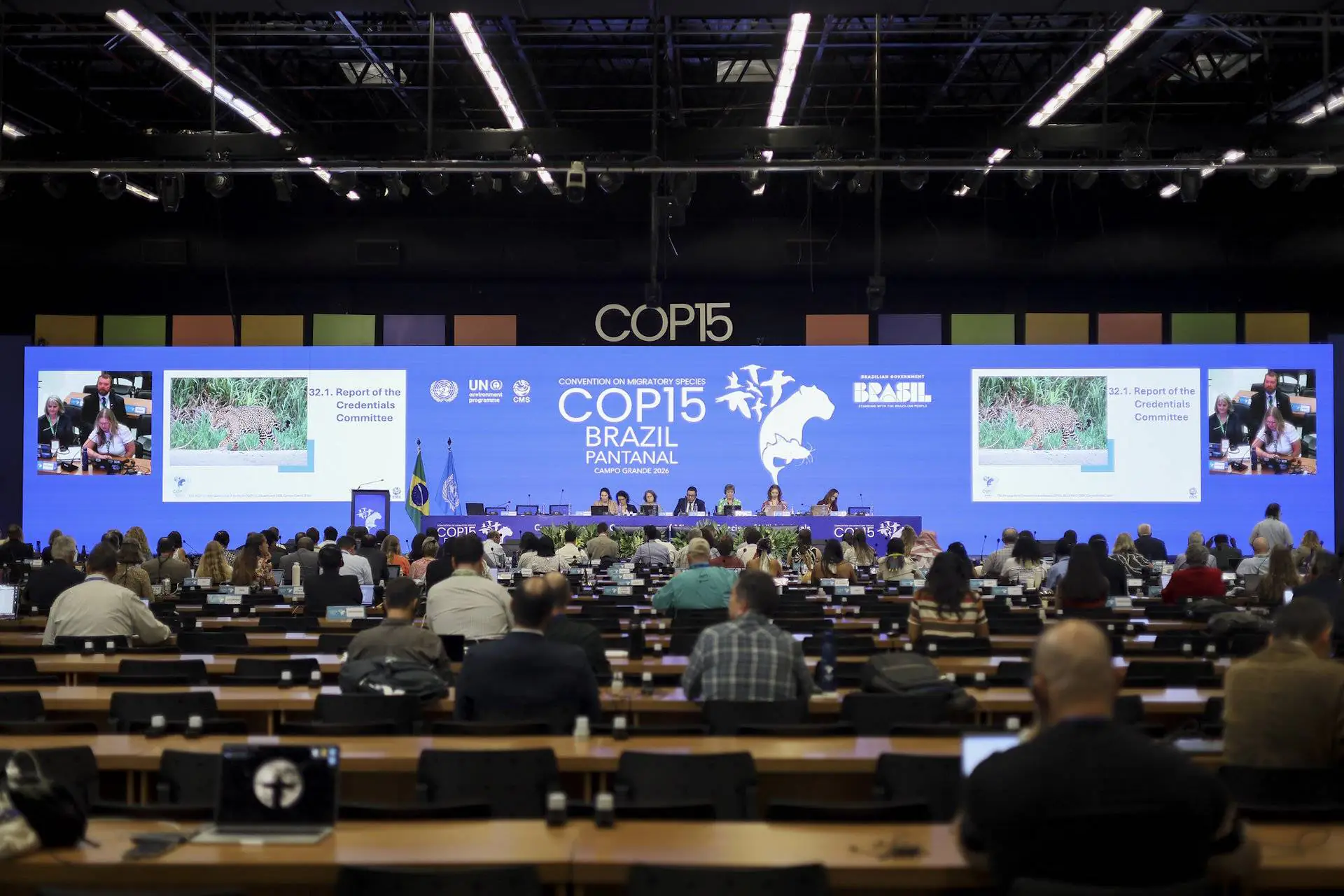 Montes submarinos: o elo invisível que pode redefinir o futuro da conservação marinha