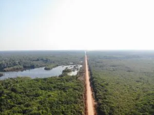 Novos editais da BR-319 são contestados na Justiça por possíveis ilegalidades ambientais
