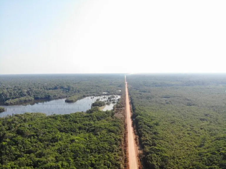 Novos editais da BR-319 são contestados na Justiça por possíveis ilegalidades ambientais