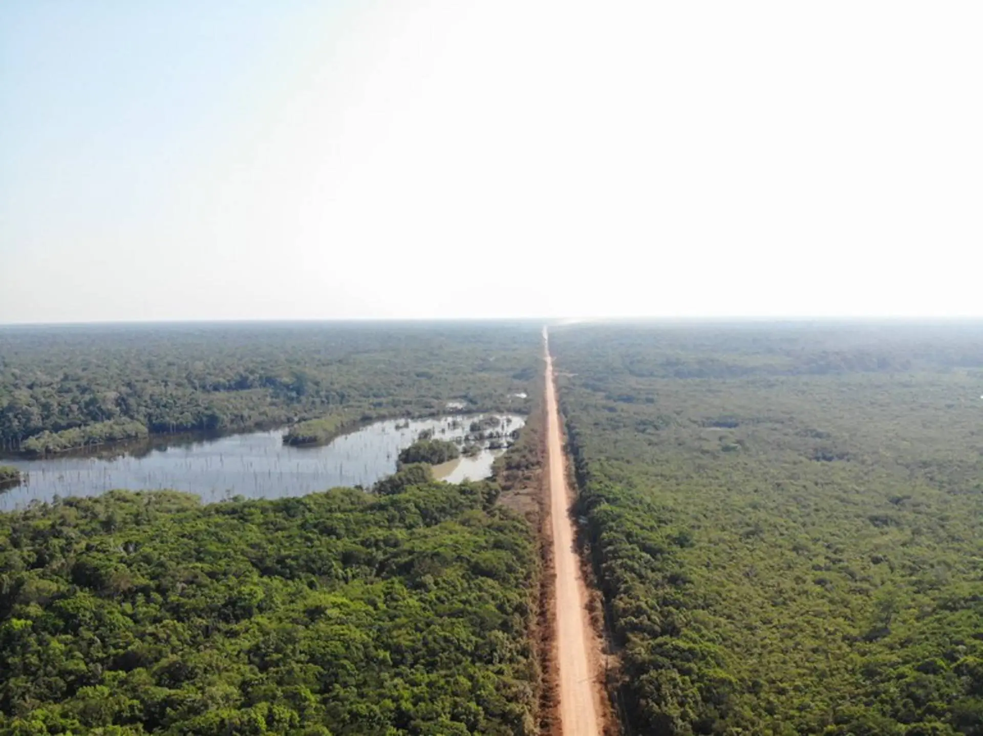 Novos editais da BR-319 são contestados na Justiça por possíveis ilegalidades ambientais