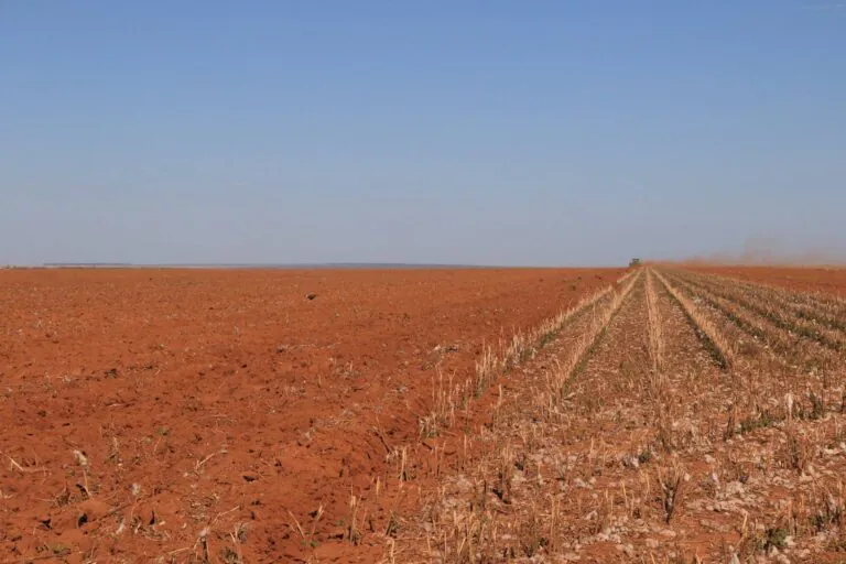 O jeito inglês de matar subsídios agrícolas