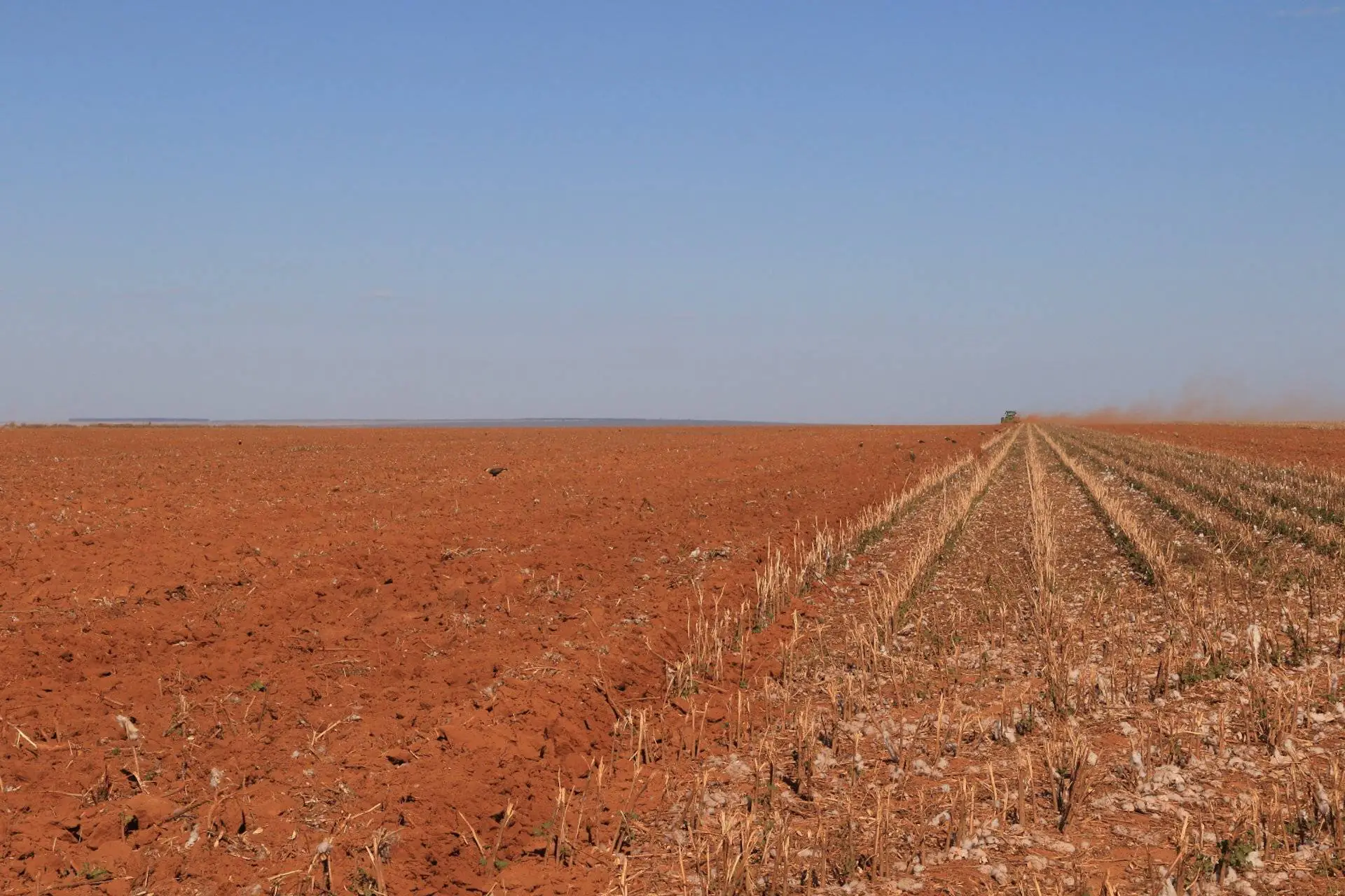 O jeito inglês de matar subsídios agrícolas