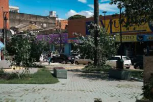 um símbolo da origem de Porto Velho