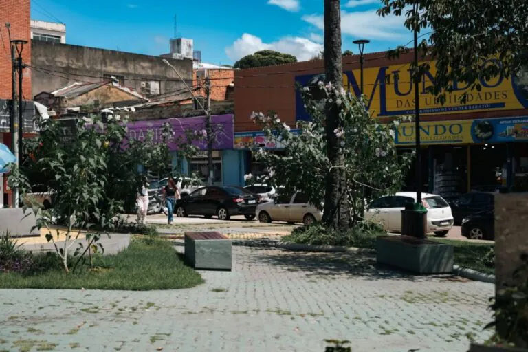 um símbolo da origem de Porto Velho