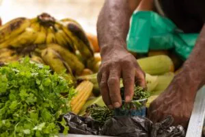 Alimentação vegetal une proteção à saúde humana, aos animais e ao meio ambiente