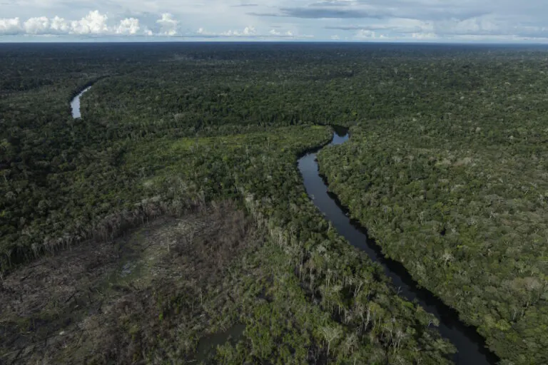Brasil reduz desmatamento em 2025, mas Cerrado ainda concentra perdas
