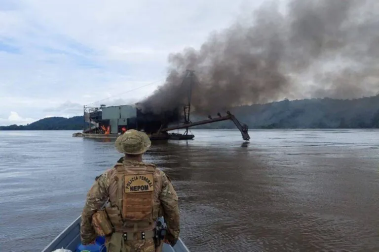 Câmara proíbe embargo remoto de área desmatada sem vistoria prévia