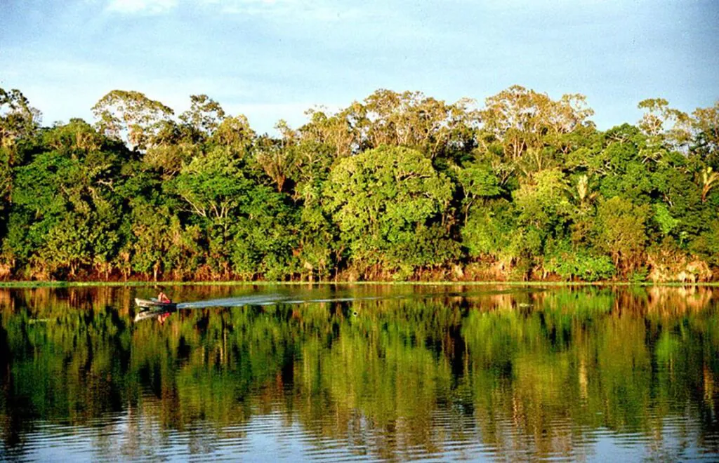 Comunicação ambiental deve trabalhar para conscientizar a população pela preservação da natureza
