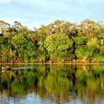Comunicação ambiental deve trabalhar para conscientizar a população pela preservação da natureza