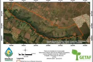 DF ganha monumento natural para proteger água e Cerrado