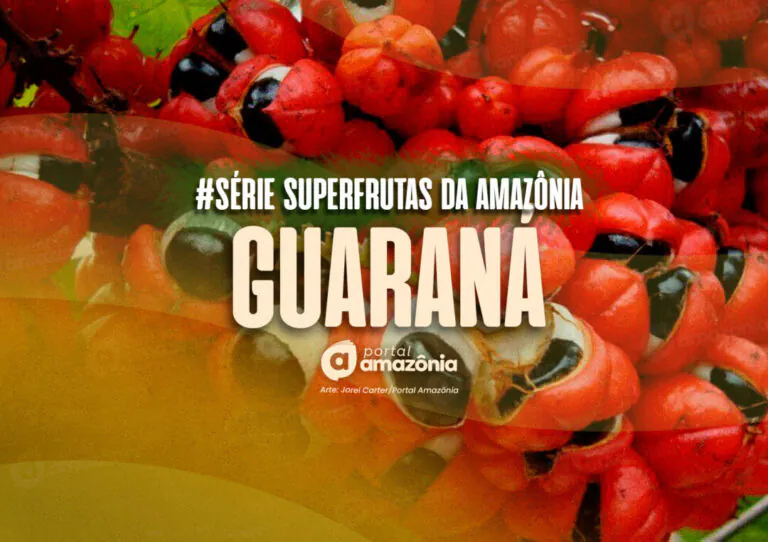 Guaraná, fonte natural de cafeína