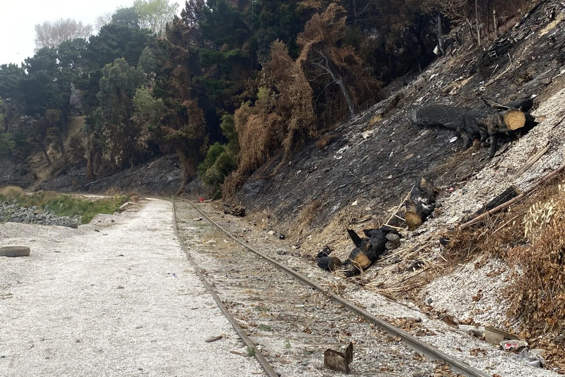 Incêndios já queimaram 150 milhões de hectares de vegetação no planeta em 2026