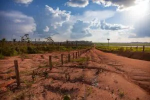 Leis fundiárias na Amazônia facilitam grilagem de terras públicas, aponta estudo