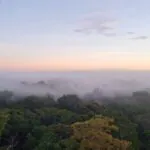 Névoa da Amazônia tem papel ambiental, diz estudo