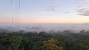 Névoa da Amazônia tem papel ambiental, diz estudo