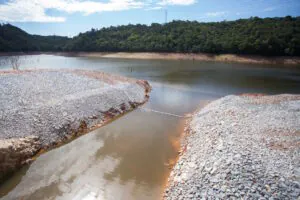 O risco ecológico silencioso do Vale do Ribeira